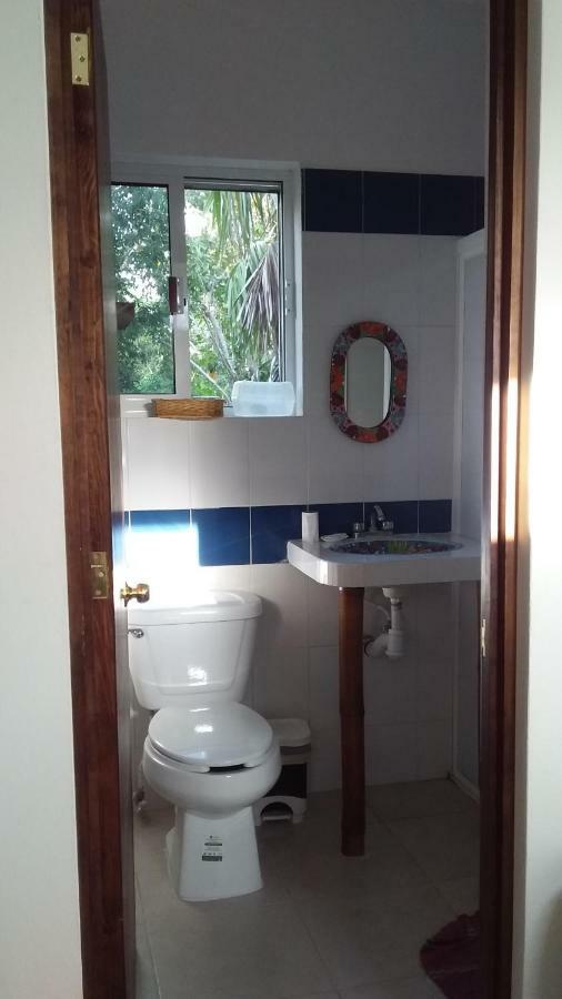Mini Pini Bird Watching And Cenote Loft Villa Cozumel Exterior photo