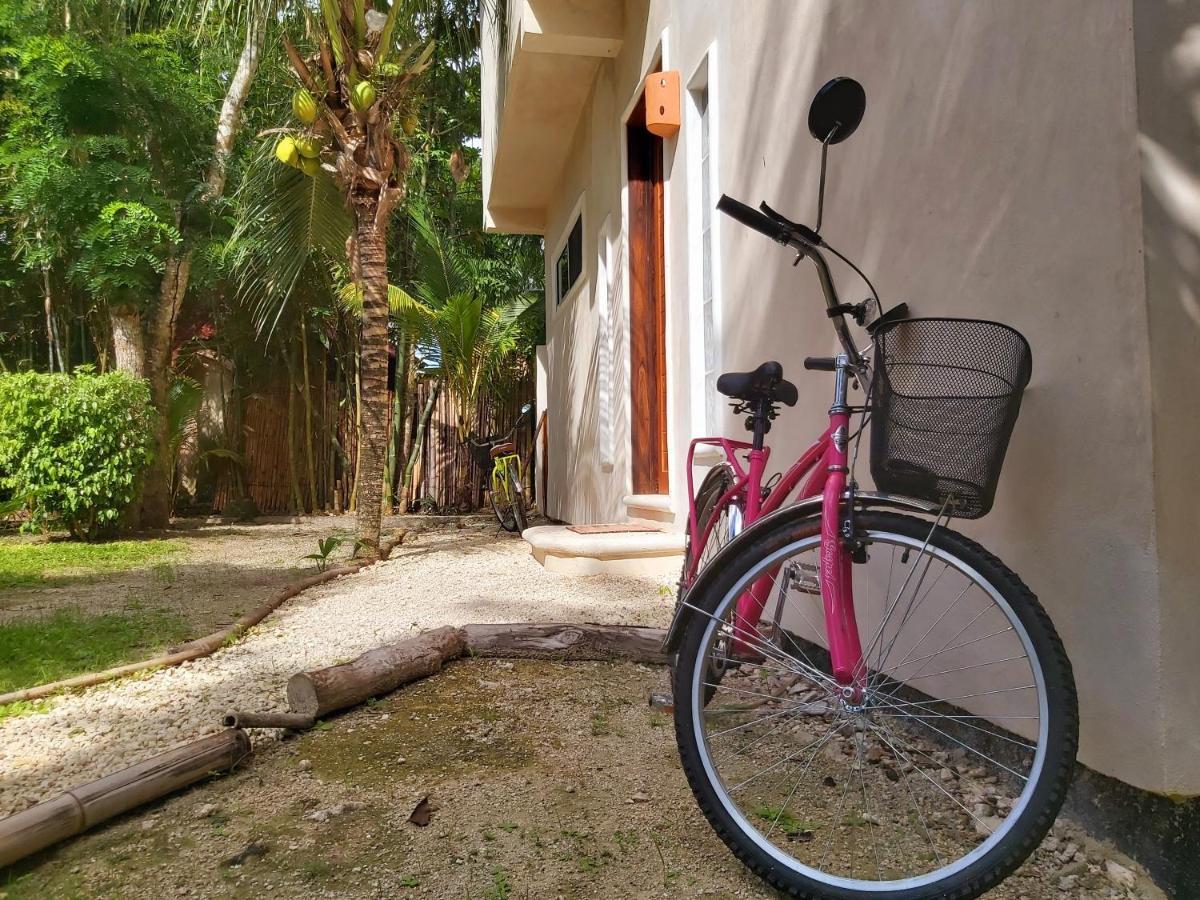 Mini Pini Bird Watching And Cenote Loft Villa Cozumel Exterior photo