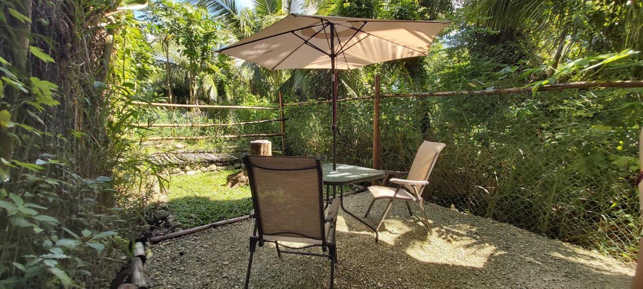 Mini Pini Bird Watching And Cenote Loft Villa Cozumel Exterior photo