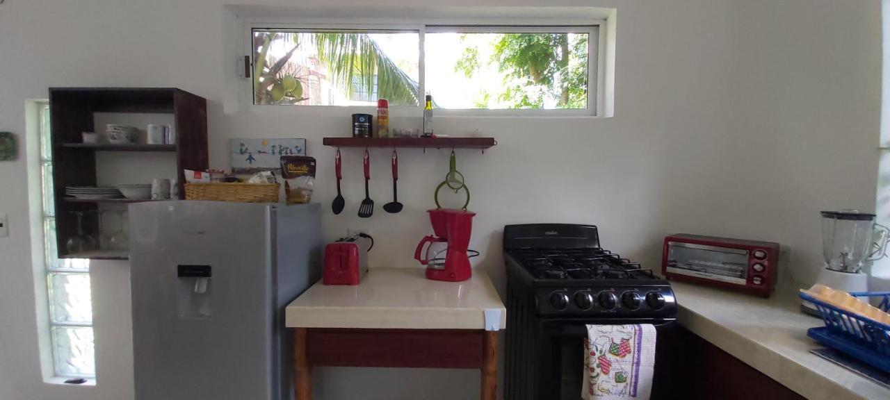 Mini Pini Bird Watching And Cenote Loft Villa Cozumel Exterior photo