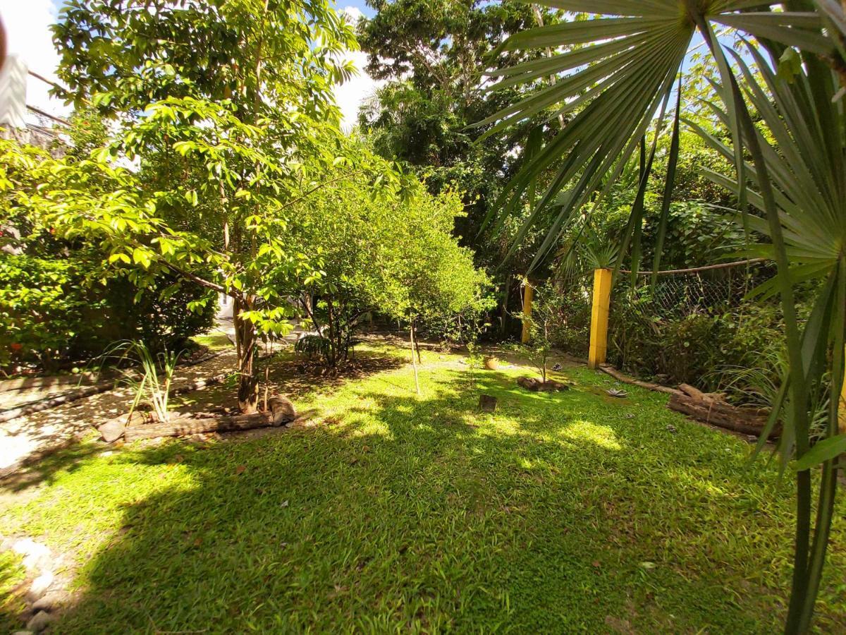 Mini Pini Bird Watching And Cenote Loft Villa Cozumel Exterior photo